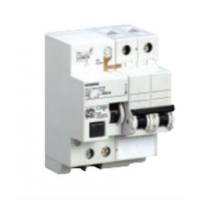 RCBO 32 Amp 2 Pole 30 mA